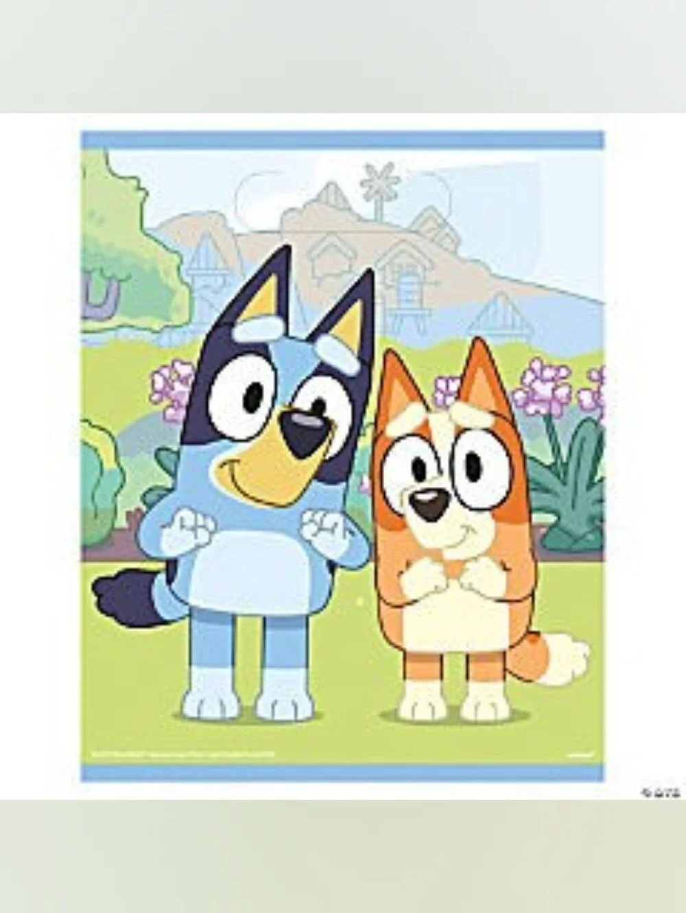 Bluey Party Box!